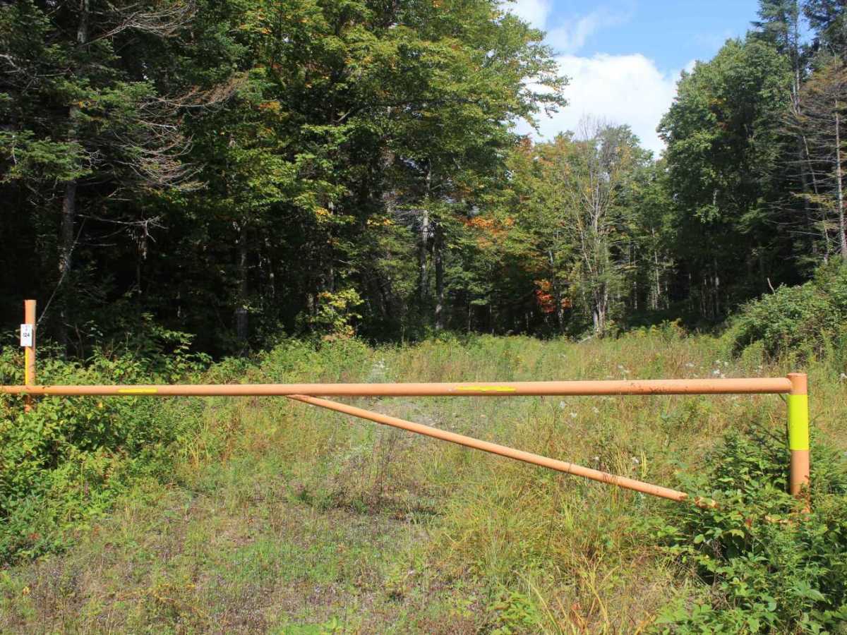 Roaring Brook Trail photo 5