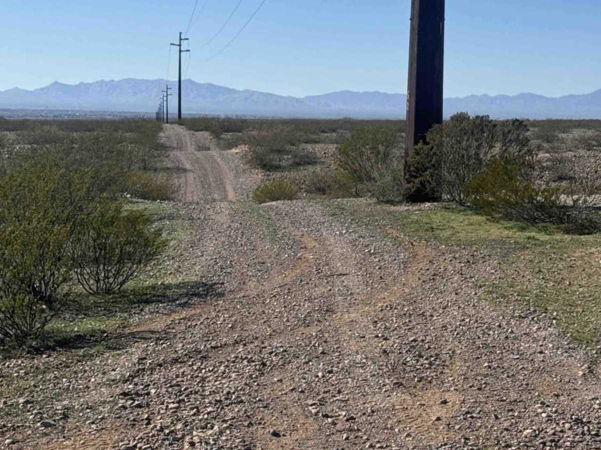 Zsa1259 trail photo