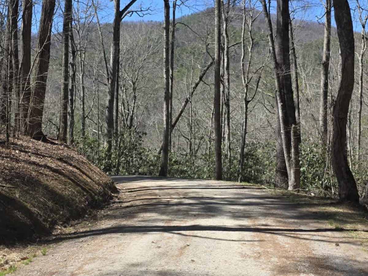 Cataloochee Creek Road photo 6