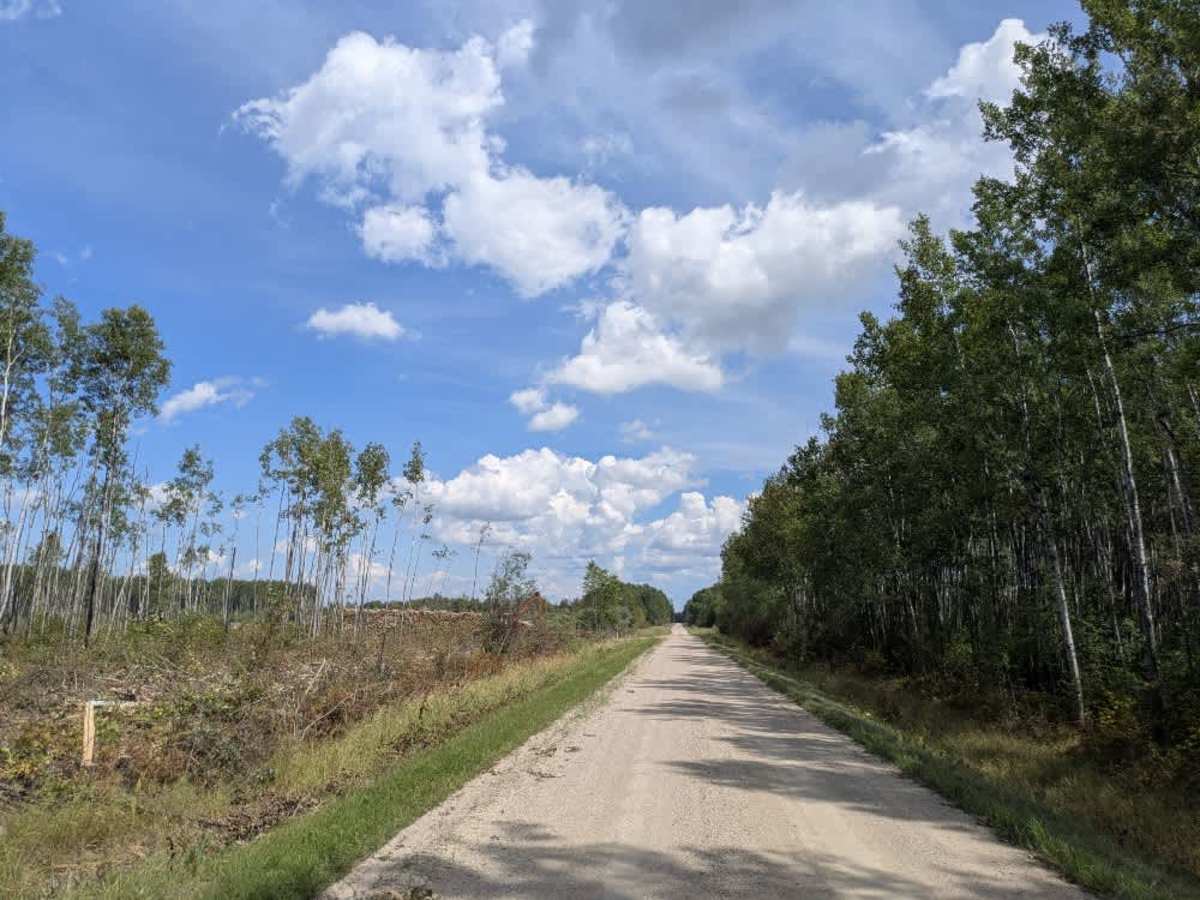 County Road 158 photo 3