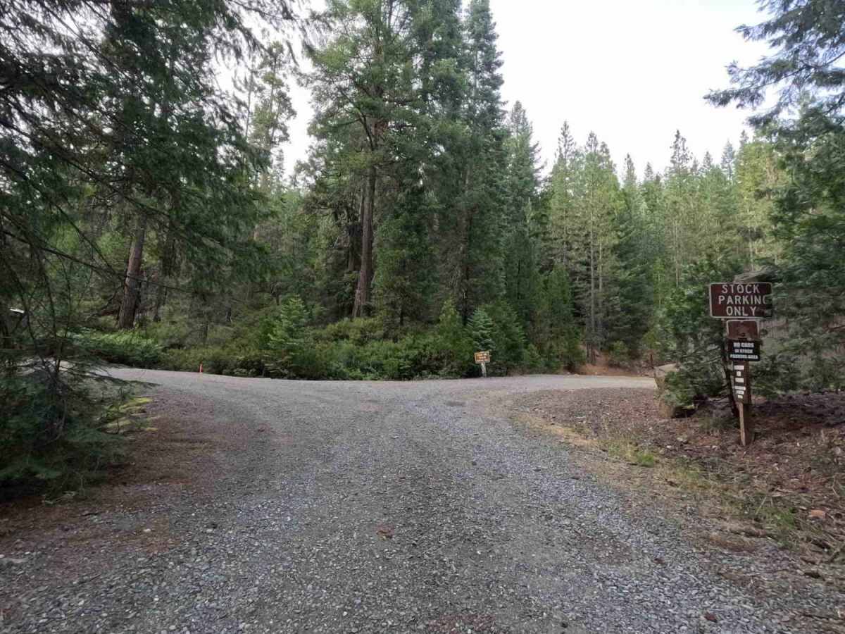 Swift Creek - FS 36N25 photo 2