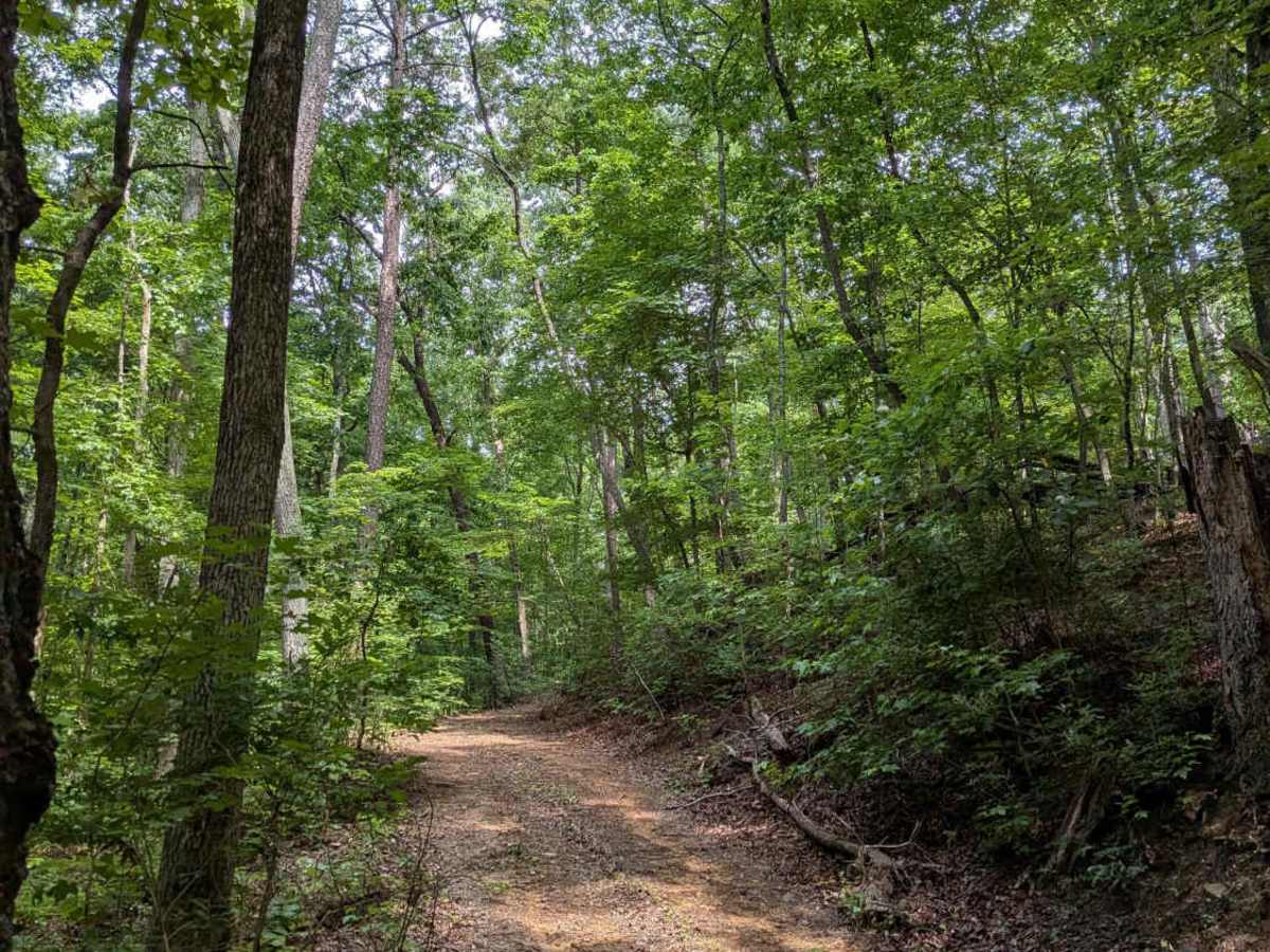 Limekiln Loop Road photo 6