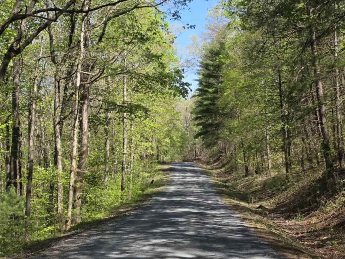 Flatwoods Road photo 6