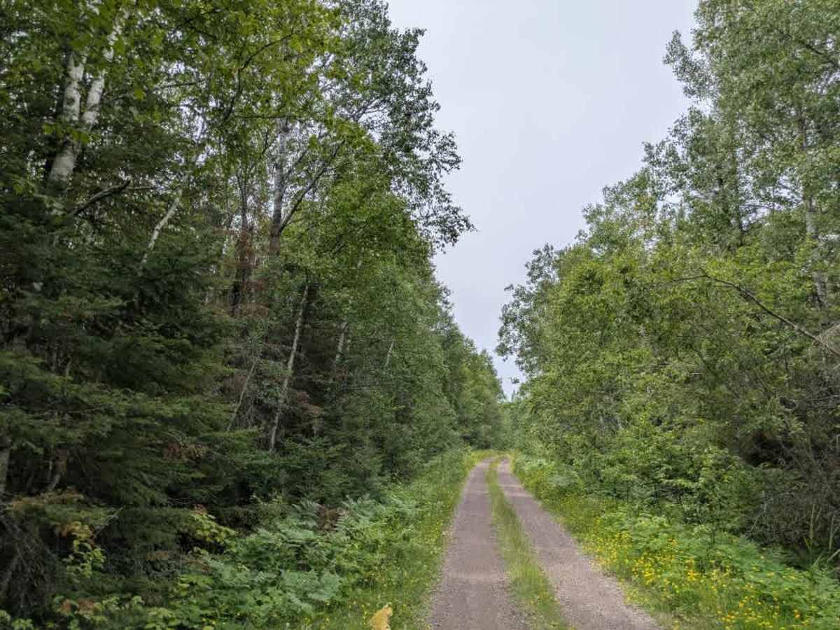 Wigwam Lake trail photo