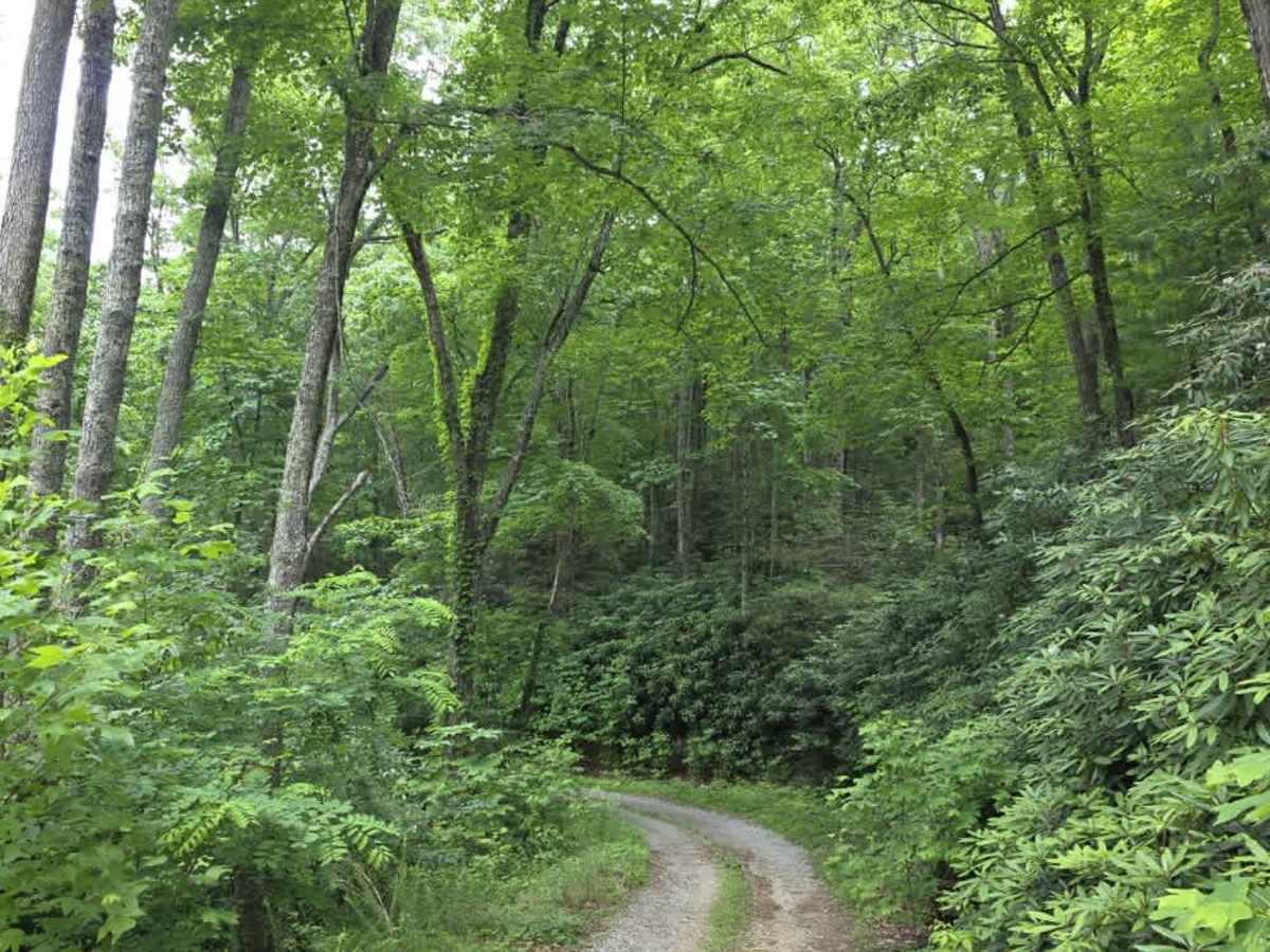 Little Paint Creek photo 6
