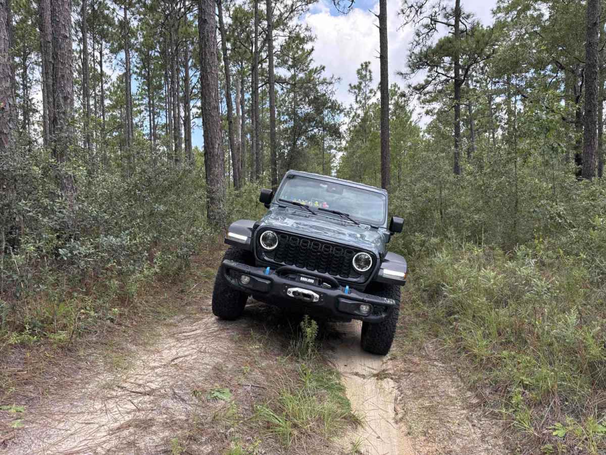 Trail 18a - Citrus WMA photo 6