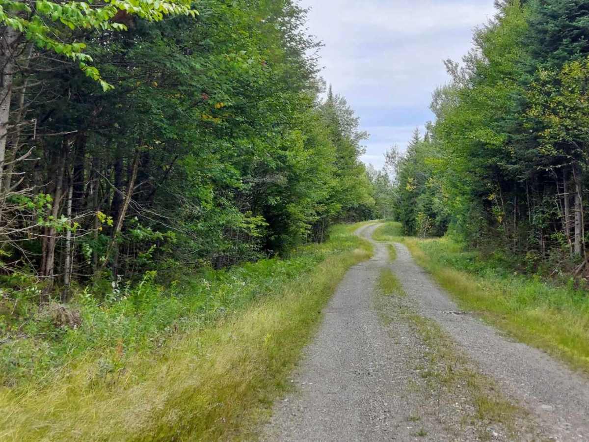 East Branch Road photo 4