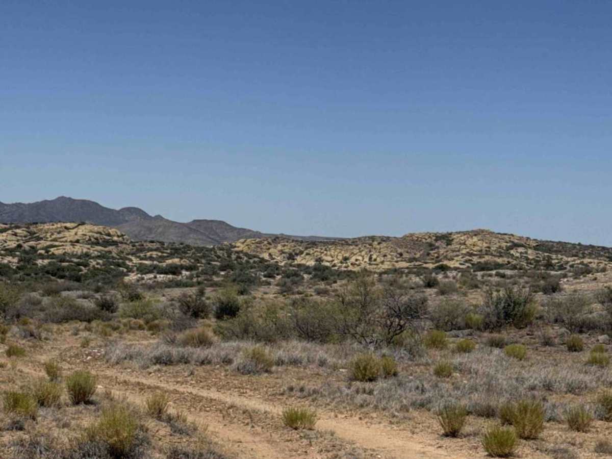 BLM 50016 trail photo