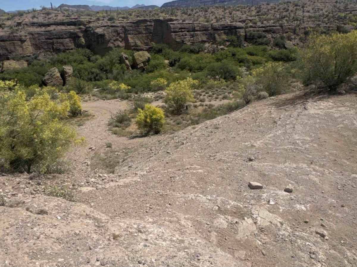 BLM 28057 photo 6