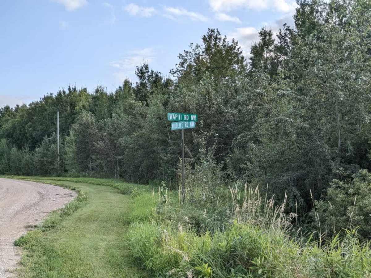 Wapiti Road NW photo 4