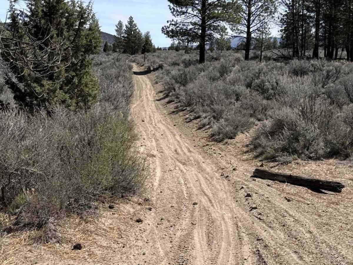 East Fort Rock OHV Trail 25 trail photo