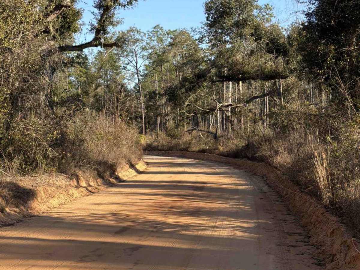 LL Wallace Road - FS 620 trail photo