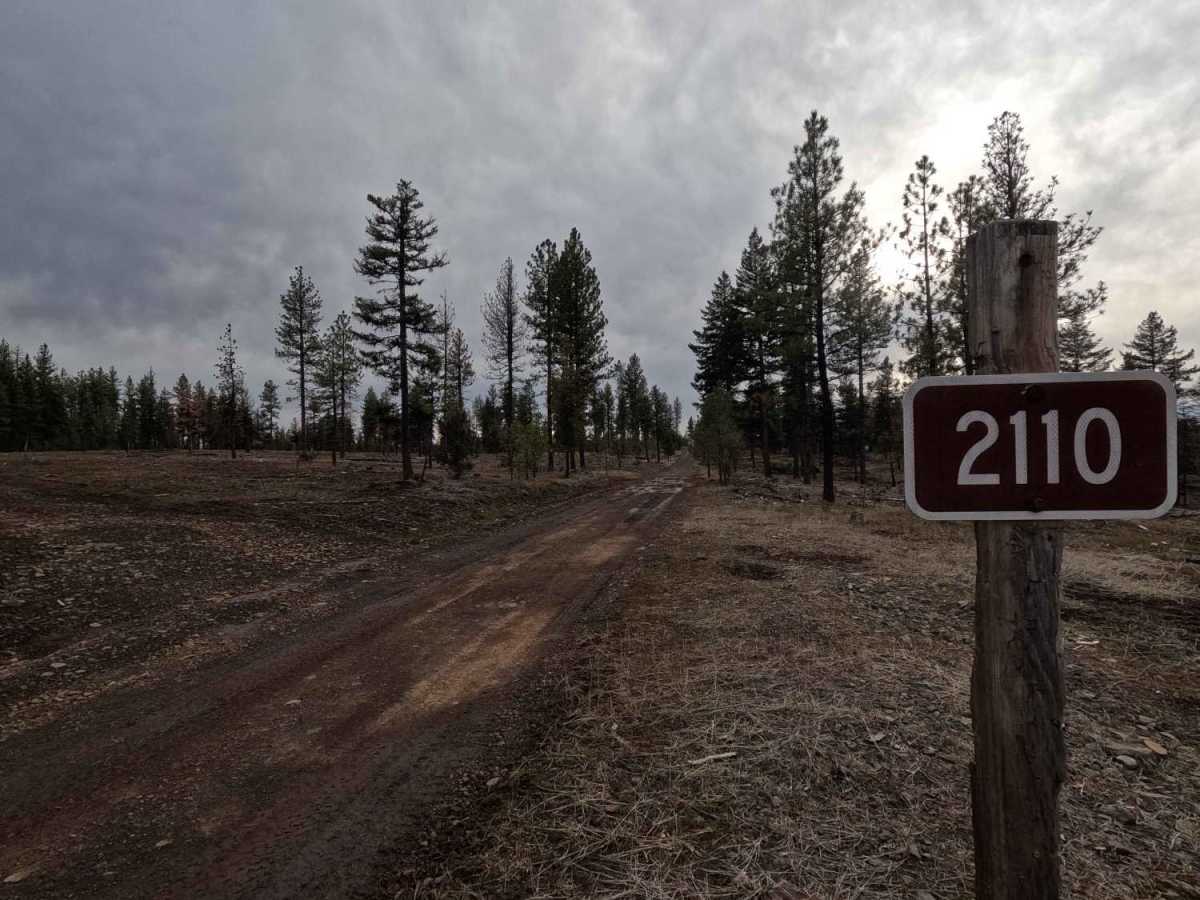 FS 2110 trail photo