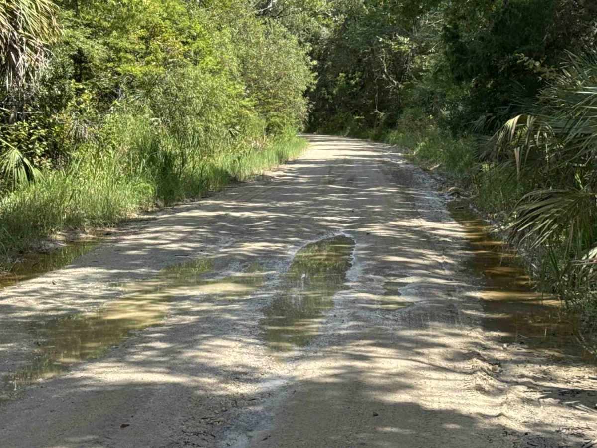 Homus Pond Road photo 5