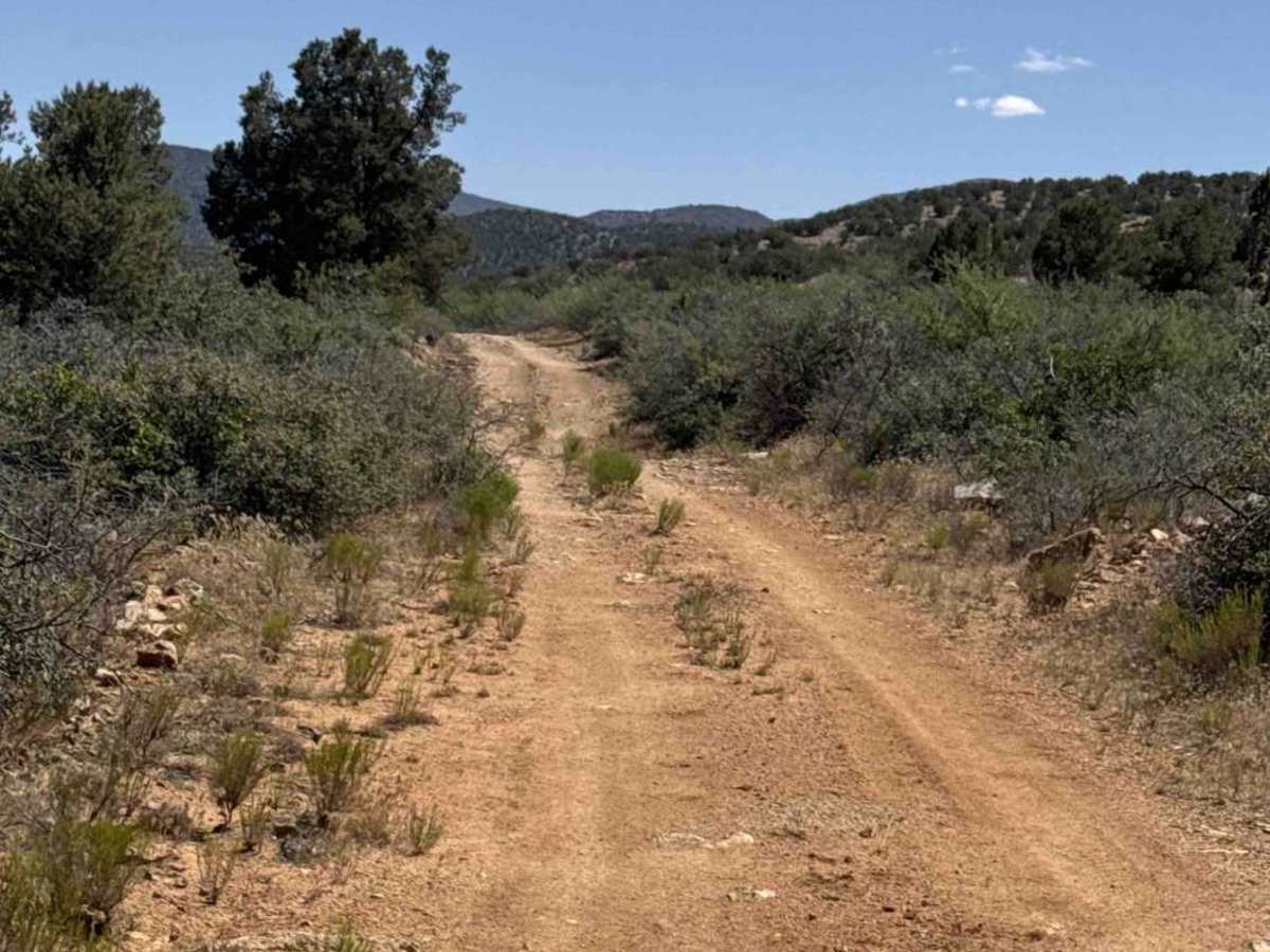 Lower Mine Trail  photo 3