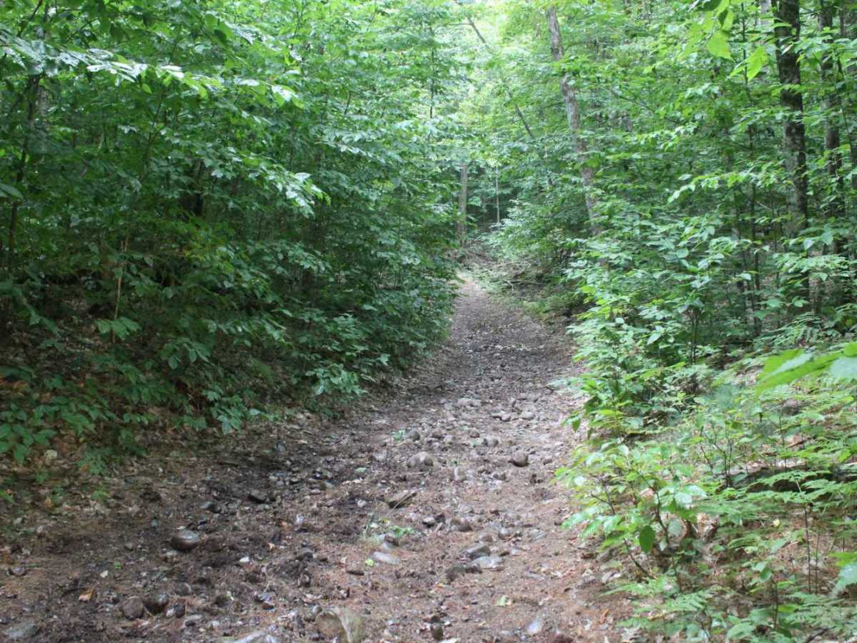 Mikes Road photo 3