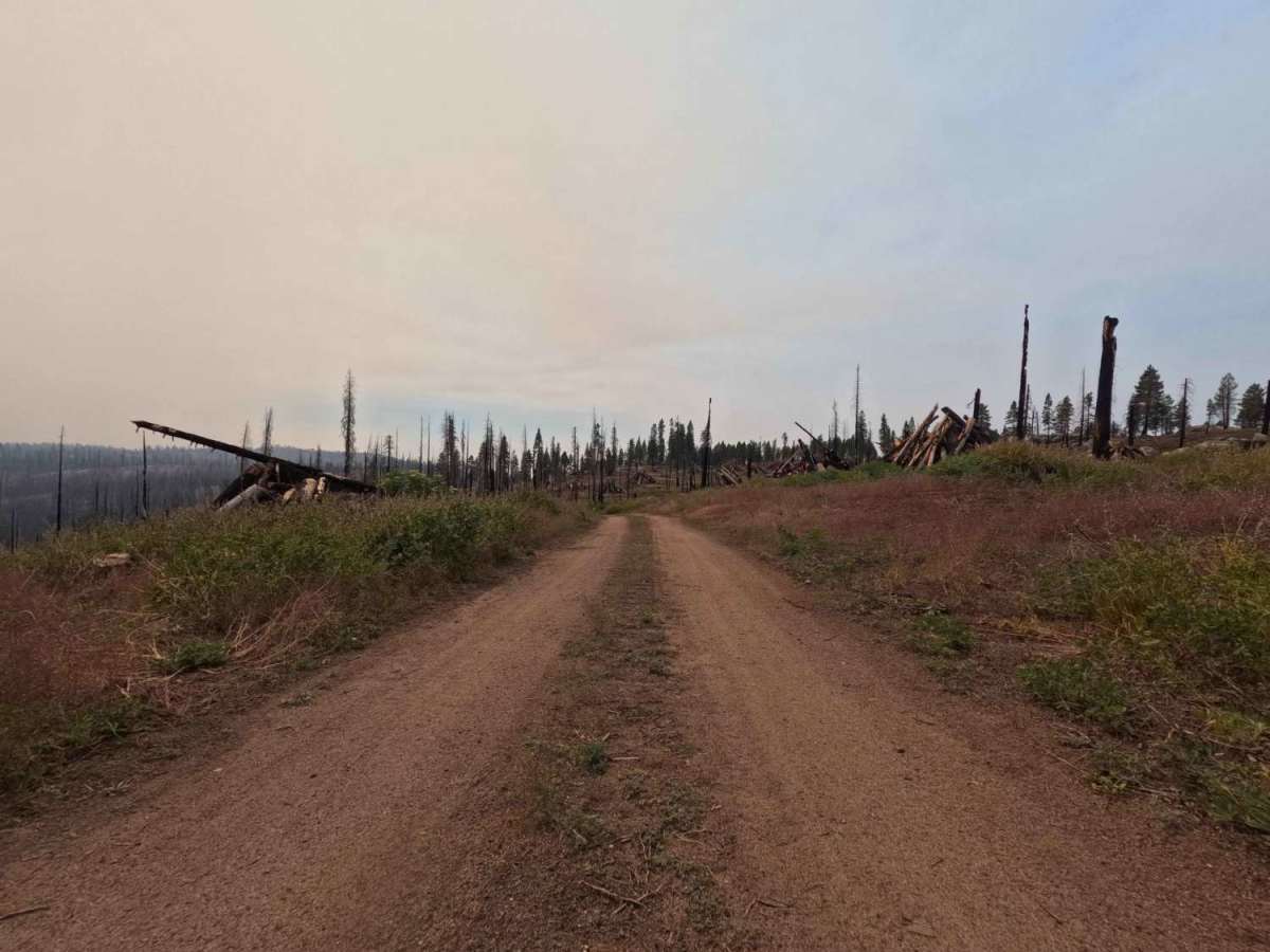 Upper Tamarack Mountain - FS 9s028 photo 3