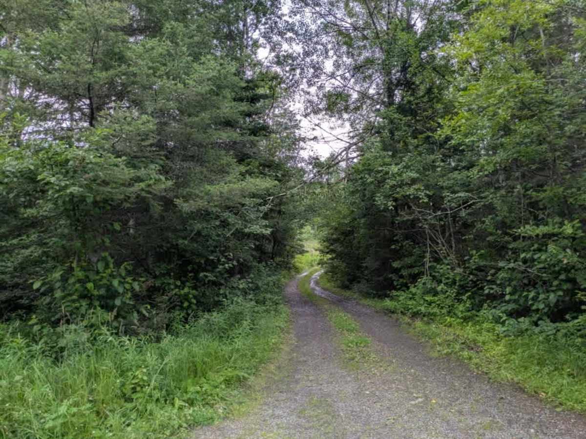 Otter Lake photo 4