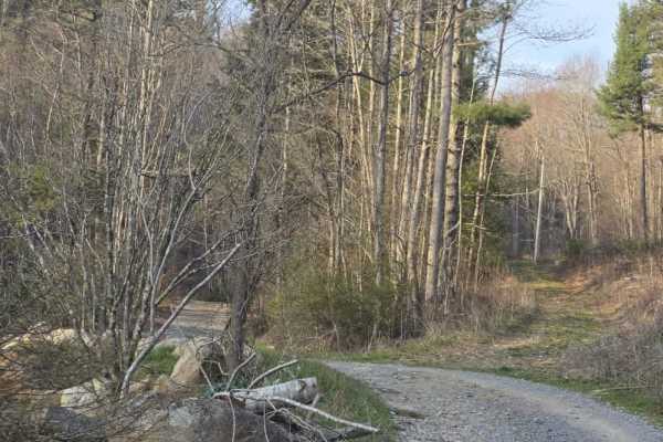 Laurel Mountain / White Rock