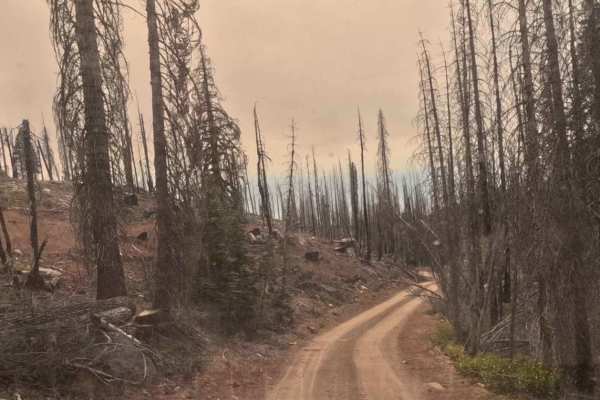 Lower Tamarack - FS 9S014
