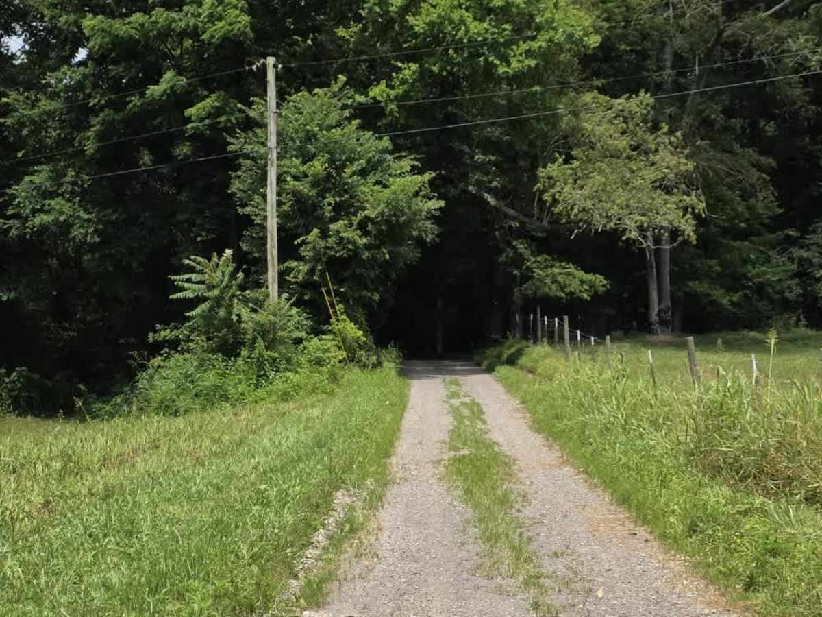 Spring Hollow Road - Macon County Tour photo 5