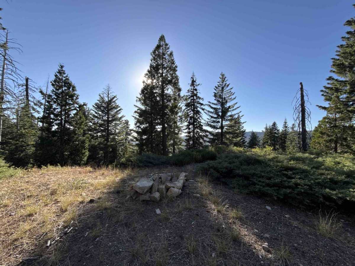 FS 7N65 trail photo