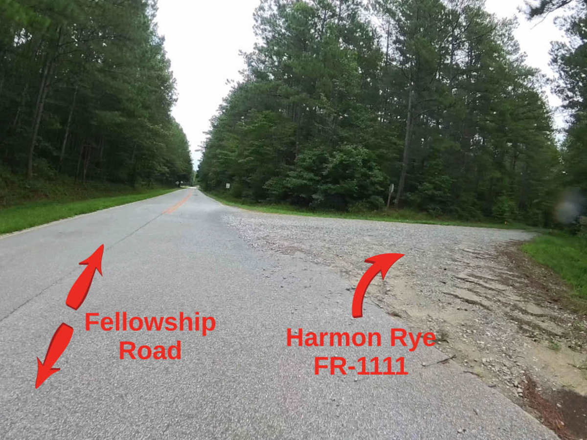 Harmon Rye - FS 1111 photo 2