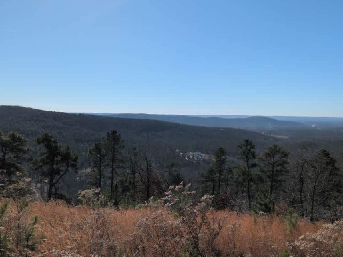 E12 Prothane Point photo 4