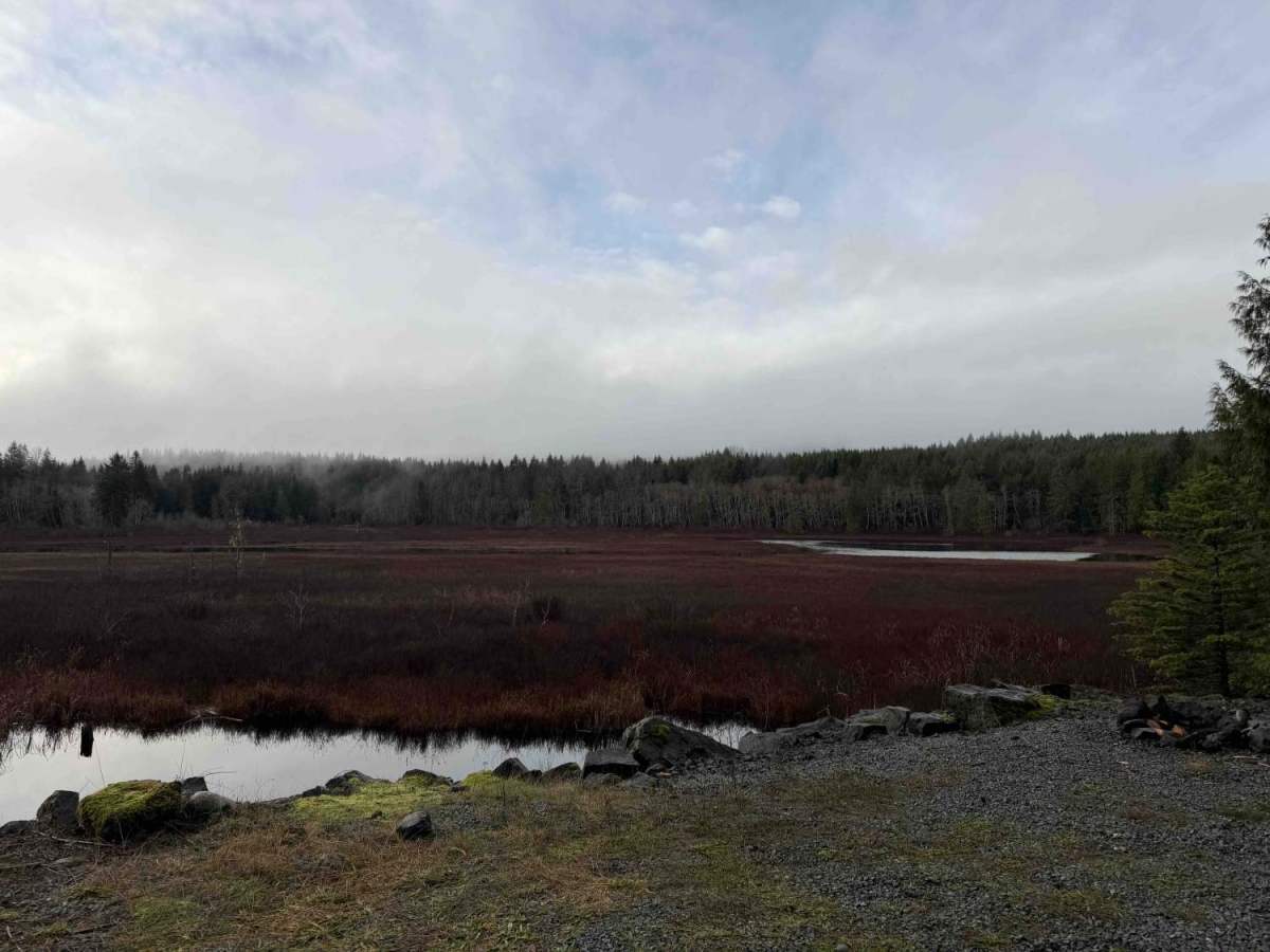 Brittney Bay Recreation Site photo 4