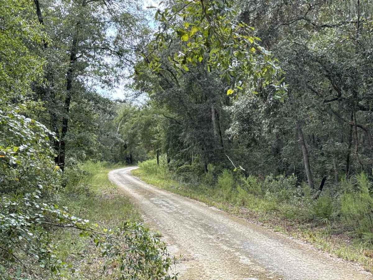 North Creek Road trail photo