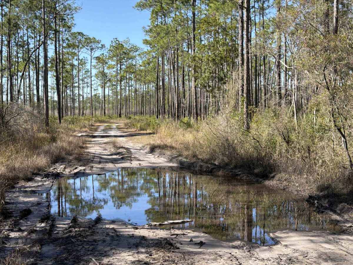 East Branch - FS 306 photo 6