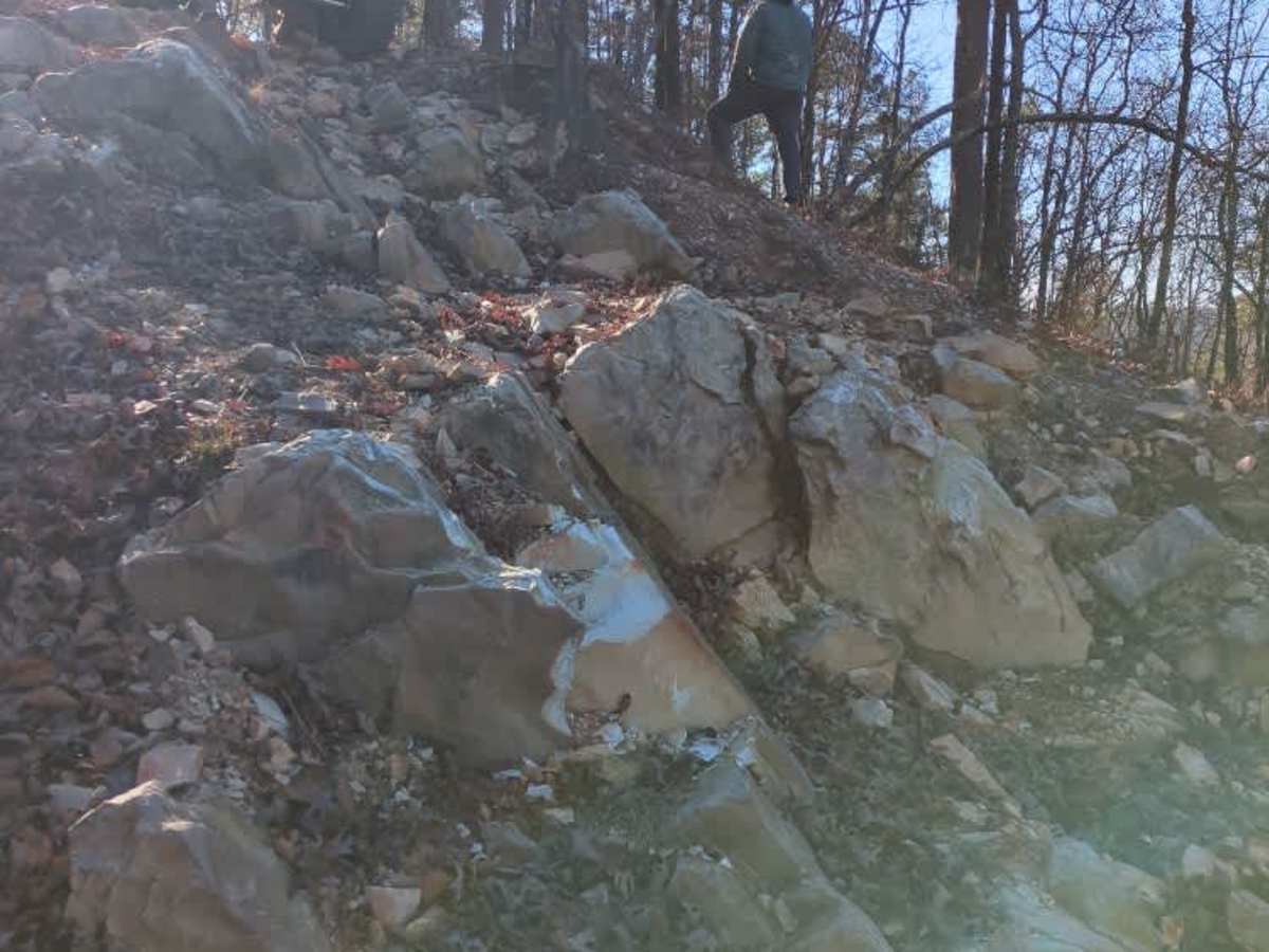 C16 photo 2