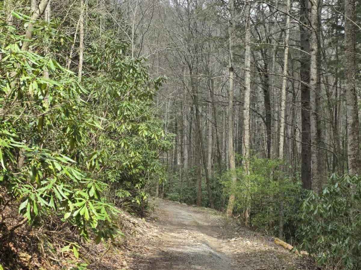 Rocky Branch Road photo 4