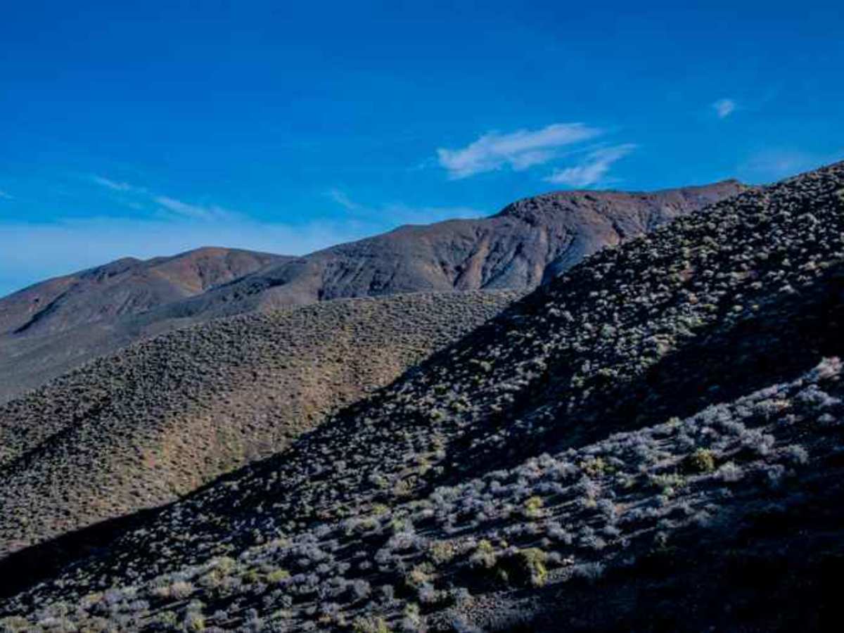 nemo-canyon-road-off-road-trail-maps-difficulty-trail-status-onx