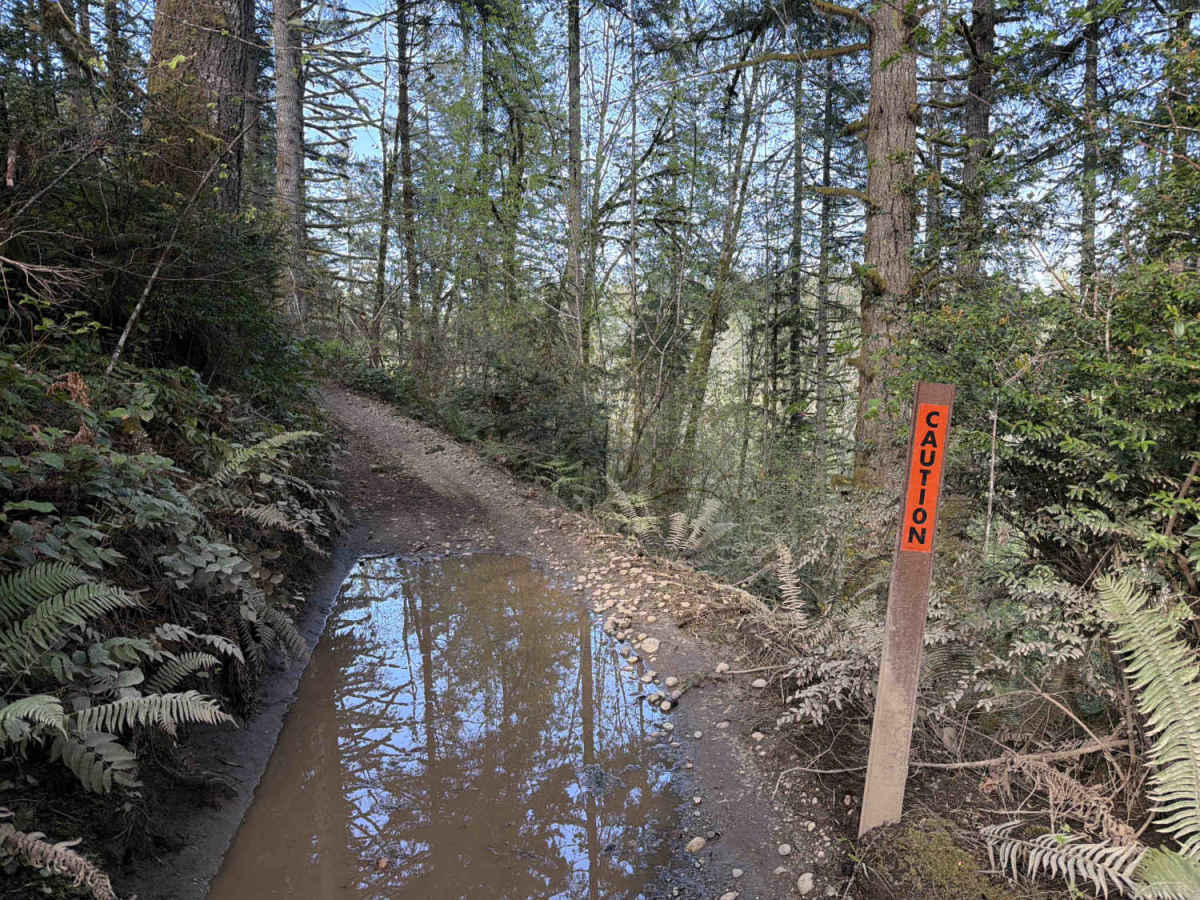 Mission Creek photo 3