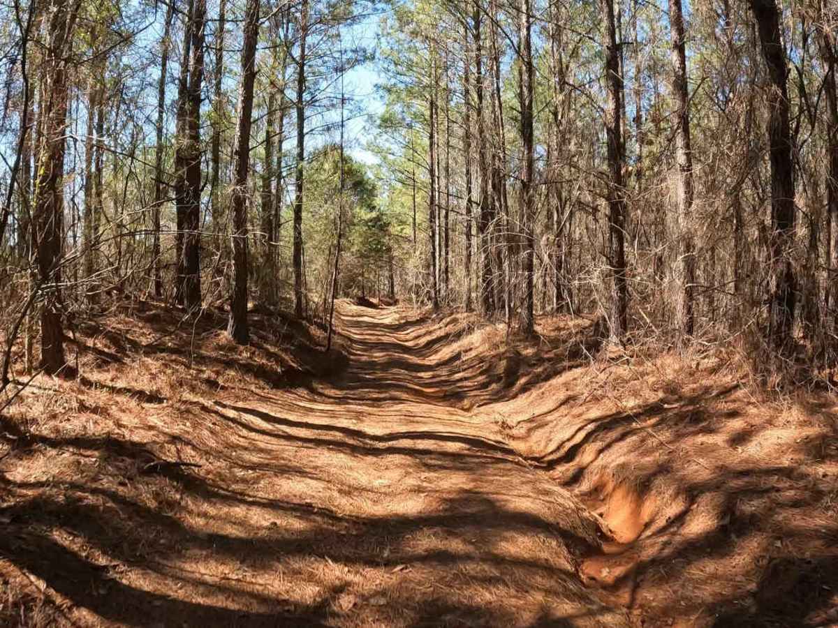 FS 742 trail photo