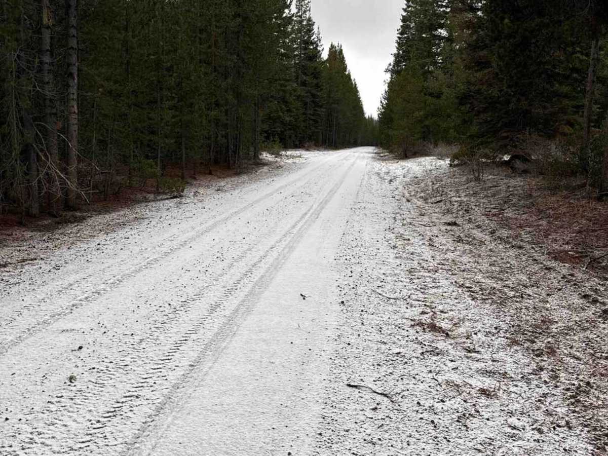 Forest Road 4613-000 photo 3