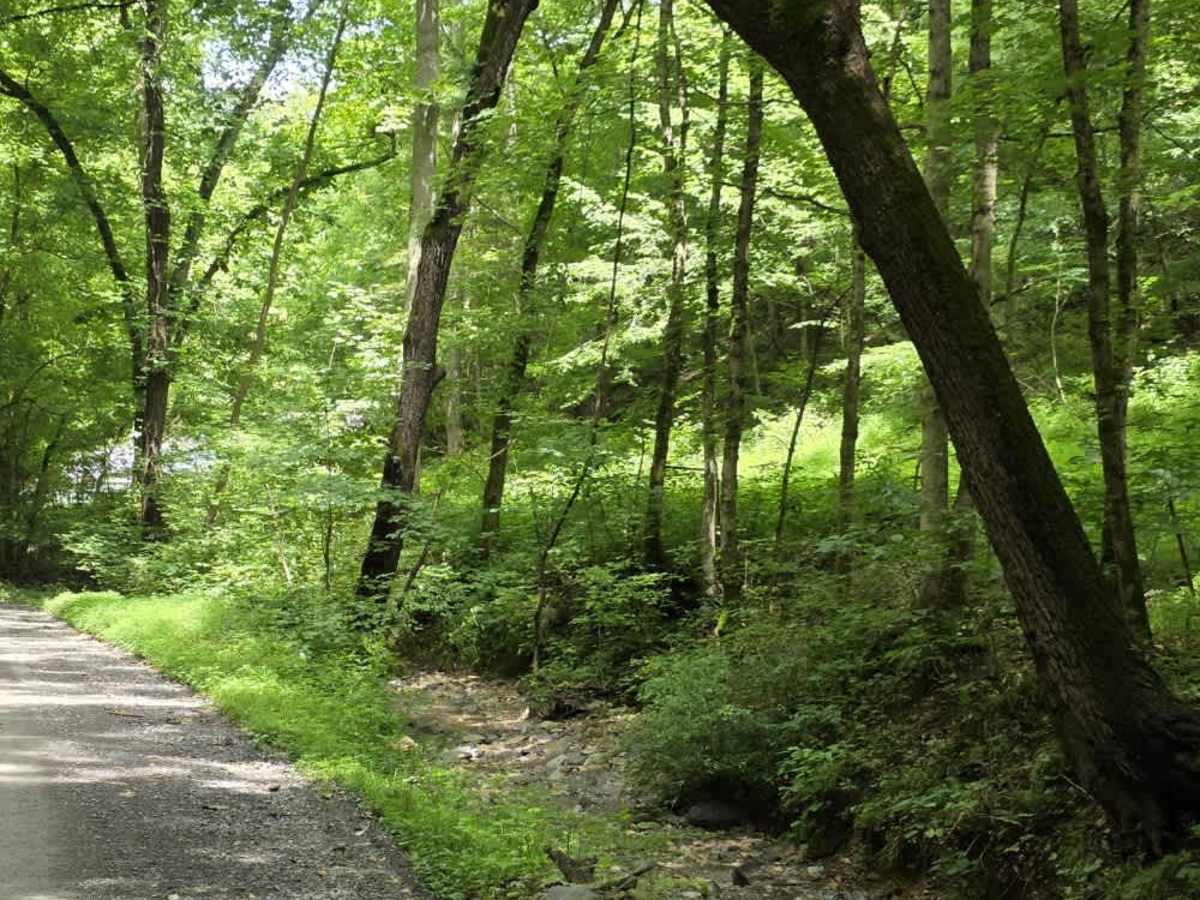 Highland Road - Macon County Tour photo 4