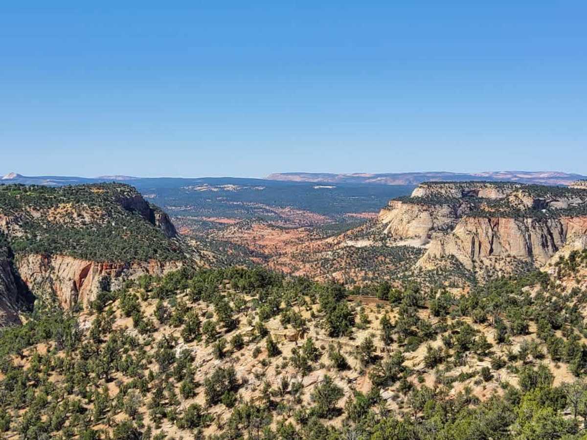 BLM 72D trail photo