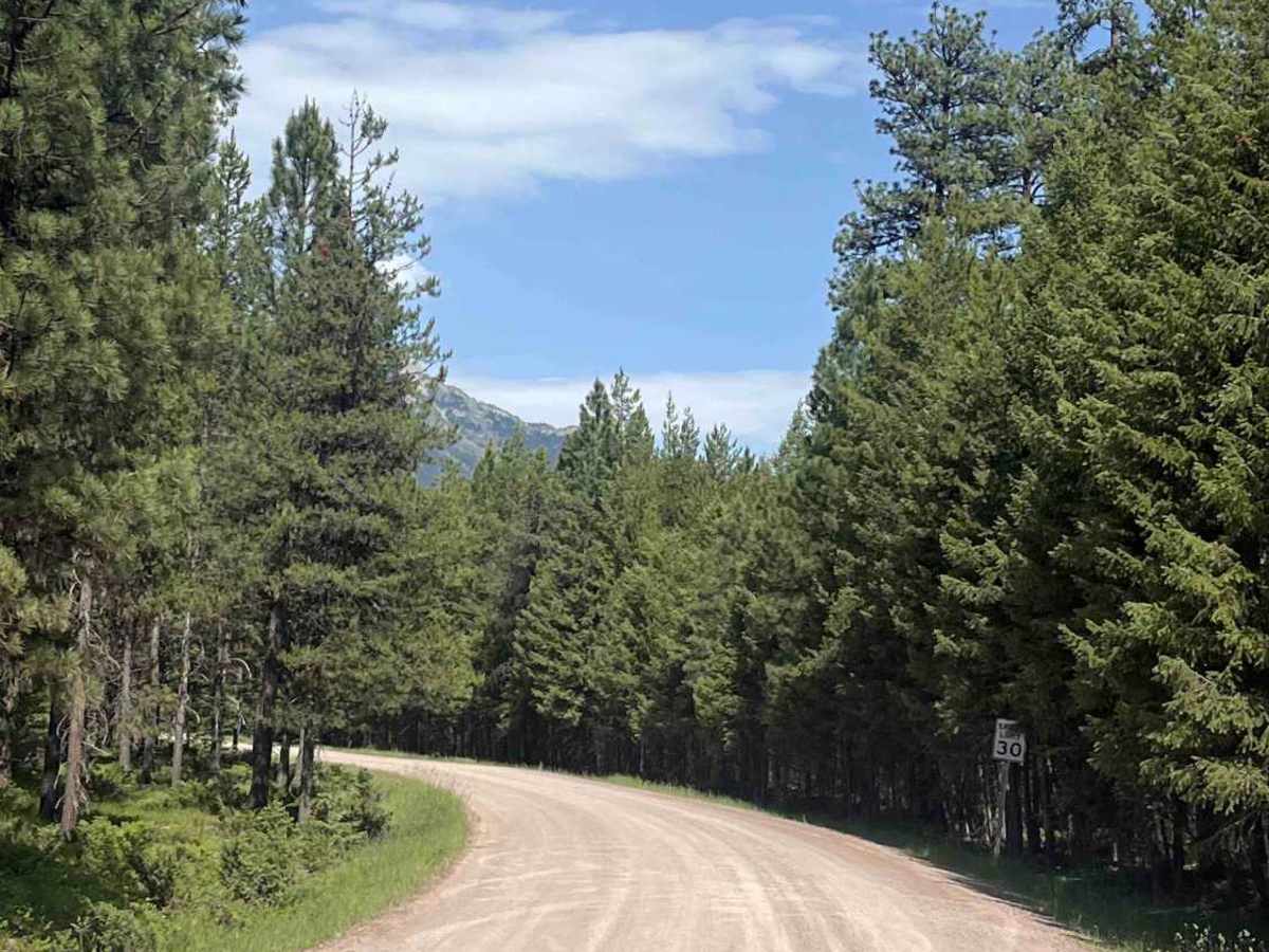 Middle Barber NF 9545 trail photo