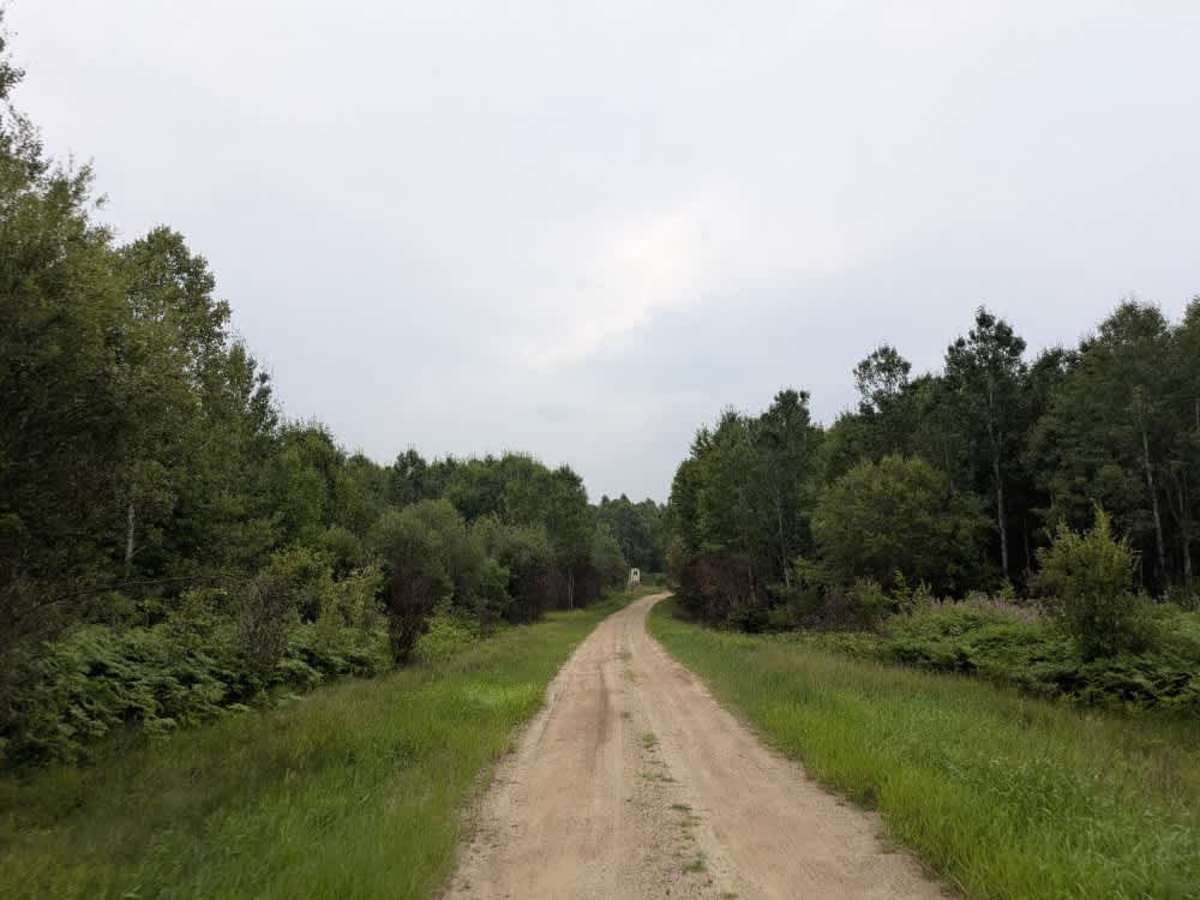 Camp 90 Forest Road photo 2