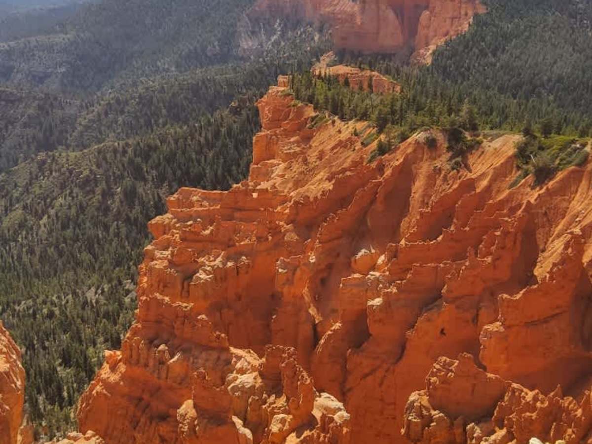 Pink Cliffs - FS 30608 trail photo