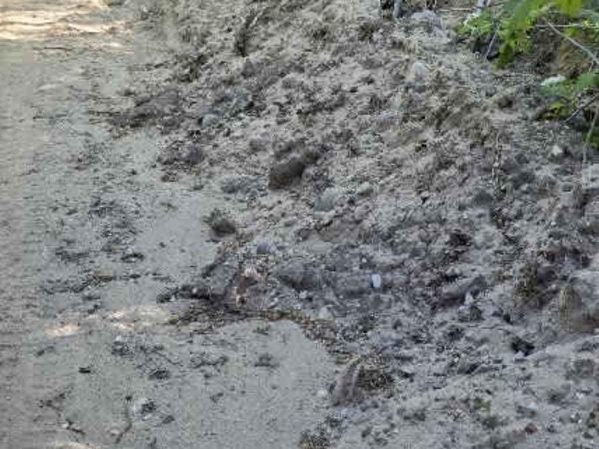 Wolf Run photo 2