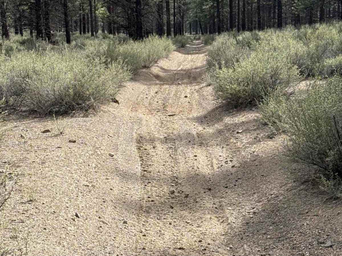 East Fort Rock - OHV Trail 9030 photo 5