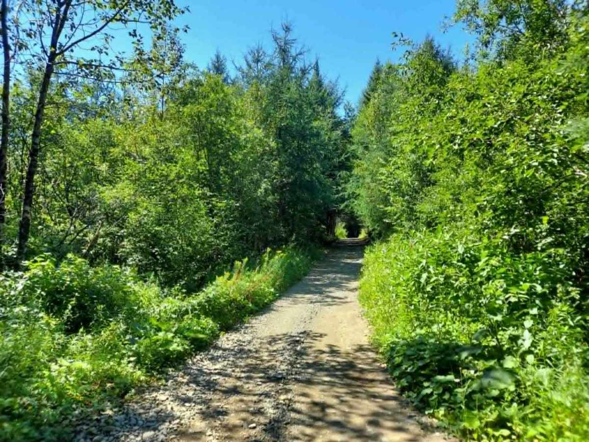 Crum Memorial Trail trail photo