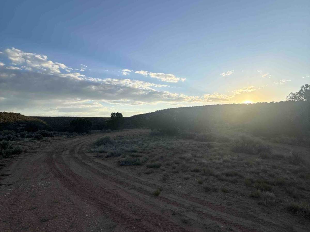 West Transfer Road photo 6