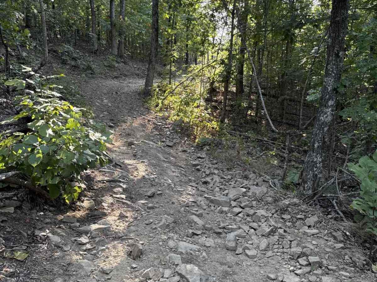 Mana Ridge photo 2