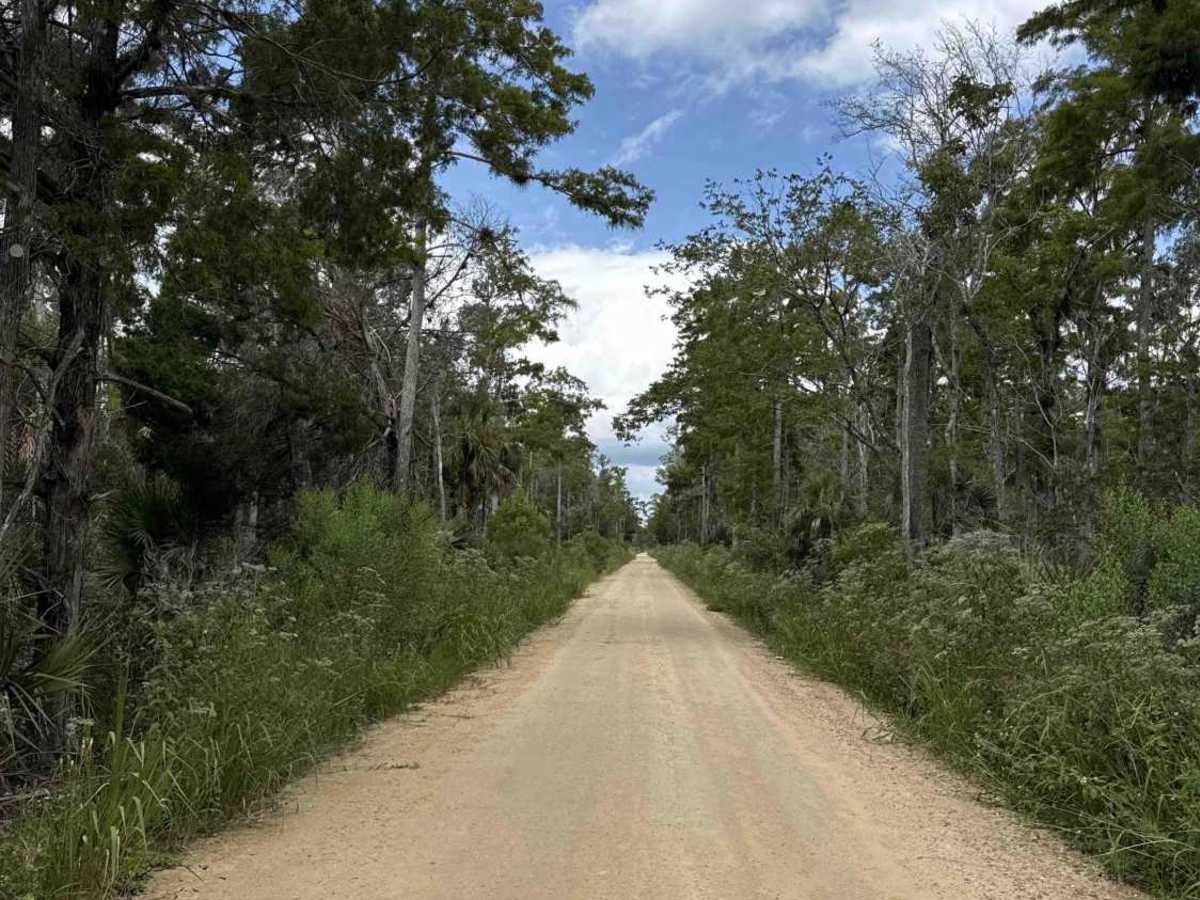 Dixie Mainline Road photo 3