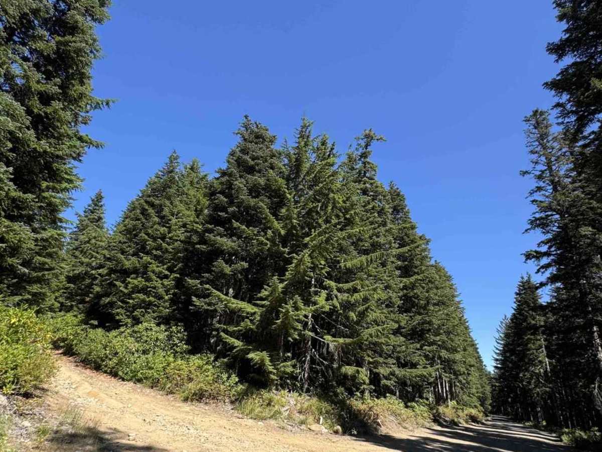 Abbott Road East - FS 4610000 photo 3