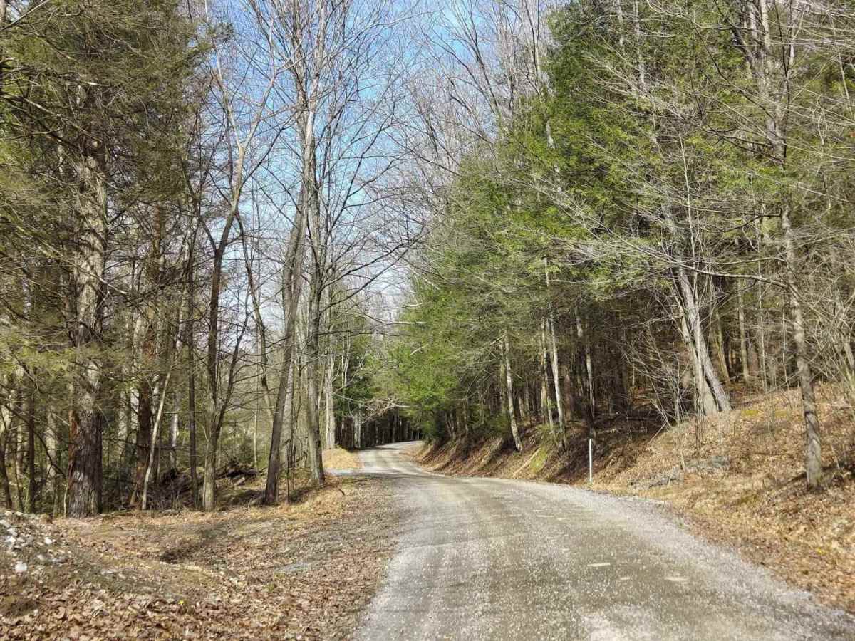 Gray Hill Road photo 3